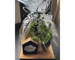 3-delige houten deco set in cadeau verpakking.