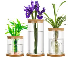 3-delige Plantenteeltstation met Glazen Vazen en Houten Standaard voor Hydrocultuur en Stekken
