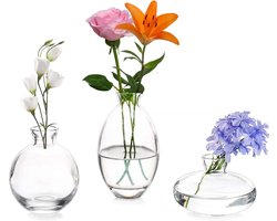 3-delige set, kleine bloemenvazen, modern, transparant, mini-vazen, glazen flesjes, decoratieve glazen vaas, decoratie voor tafelmidden, boeken, bruiloft, doop, verjaardag, cadeau voor