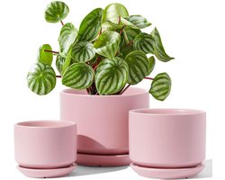 3 Pack Ceramic Planters 11+13+17cm Diameter Small Pot Set Flower Pot for Indoor Plants with Saucer and Drainage Hole Pink by LE TAUCI