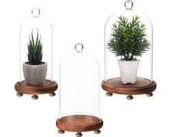 3-Pak Glazen Stolp Potten met Houten Kurken Basis - Decoractieve Tafeltop Display - Klein Middel & Grote Maten - Doorzichtig - Trays voor Fee Lichten Kopstukken en Antiek ornament op voet