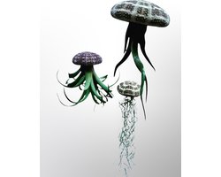 3 stuks Jelly-fish met verschillende soorten luchtplantjes in Alfonso zee-egels - luchtplantjes/airplants/hangplant/kamerplanten