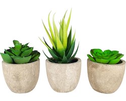 3 stuks Kunstplanten - Kamerplanten - Nep planten - Vetplanten - Cadeautip