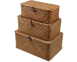 3 Stuks Opbergmanden van Zeegras – Rieten Gevlochten Opbergbox met Deksel en Knop, Rechthoekige Mand voor Kleding, Make-up, Boeken en Woondecoratie