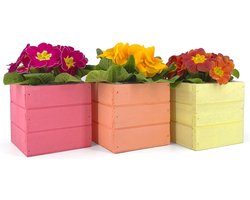 3-stuks vierkante mini-kisten met kunststof inzetstuk voor bloemen en planten - vetplanten vazen decoratie voor huis en tuin - gemengde kleuren