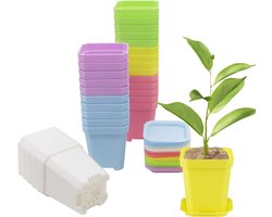 30 stuks 3 inch plantenpotten, dikke plastic vierkante kleurrijke bloempotten, plantenpotten, potten met trays - diverse kleuren 30 stuks