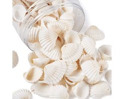 300g Witte Natuurlijke Schelp Kralen - Cowrie Schelp Kralen - Ocean Beach Schelpen - Charms Kraal met 1.5~1.6mm Gat voor Aquarium Vaas Vuller Decor Windgong Maken