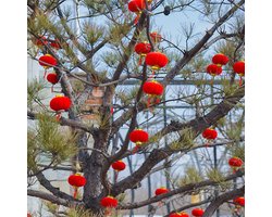 30pcs Rode Chinese Lampions - Mini Lampions Decoratie - Traditionele Hanglampionnen - Gelukslampionnen Hanger voor Chinese Lente Festival - Nieuwjaar - Verjaardag - Bruiloft - Feest (3cm)