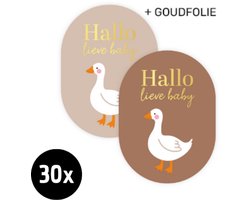 30x Sluitsticker Hallo lieve baby + goose - goudfolie - ZOETTT - 43x59mm - Ovaal - Baby nieuws - Zwangerschap - Sluitzegel geboortekaartje - Geboorte sticker - Luxe sluitzegel