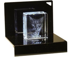 3D Foto in glas met lichtsokkel de luxe XS