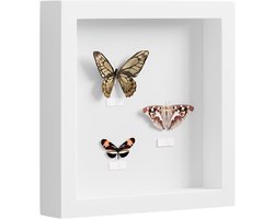 3D-fotolijst - objecten naar voren - collage-ontwerp - 1 stuk - wit - 20 x 20 cm