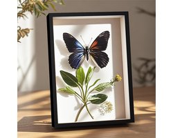 3D Picture Frames - 20x29cm Foto Frames - Diepe 3cm - Transparante Acrylaatplaat - Houten Lijsten voor Objecten - Foto Lijst voor Bloemen - Medailles - Souvenirs