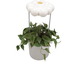 3pcs Rain Cloud Shape Plant Waterers Automatic Plant Watering Bottle, Dripping Poles for Plants(White)