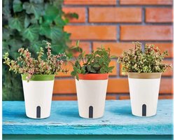 3pcs Self Watering Plant Pot - 12.5cm Round Plastic Plant Pot - Garden Flower Bonsai Pots for Aloe Herb Orchid Succulents - with Water Level Window and Drain Hole Hidden Tray