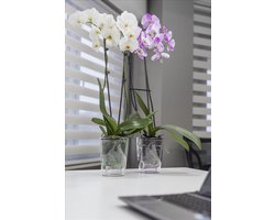 3st Transparante bloempotten - voor orchideeën planten en bloemen - 3L met wateropvang - Duurzaam Design – 70% Gerecycled