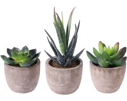 3x Kunstvetplantjes in Pot - Realistische Decoratie voor Thuis, Kantoor en Balkon