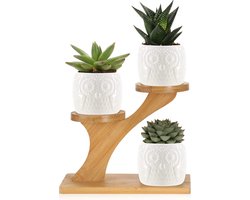 4-delige set vetplantenpotten met houder, kleine bloempotten van porselein met uilenmotief, plantenbakken met bamboestandaard, bloempot (4-delig, uil)