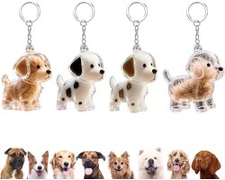 4 stuks - Hond Gedenk-Sleutelhangers - Opbergzakje voor huisdierharen - Transparante Puppy Tashangers - Delicate en schattige bedeltjes voor katten- en hondenharen - Herinnering aan Huisdier - Cadeau voor Kinderen & Hondenliefhebbers