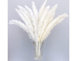 40 cm gedroogd pampasgras, wit, 30 stuks, gedroogde gedroogde bloemen, vazen, decoratie, kunstbloemen, boho-decoratie, woonkamer, slaapkamer, balkon, kamer, tafeldecoratie, bruiloft, vaas, droogboeket