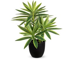 41Cm Nepplanten in Zwarte Potten Kunstmatige Dracaena Plant Decoratieve Nep Potplanten Realistische Faux Kamerplant Voor Thuis Badkamer Woonkamer Keuken Plank Tafel Decoratie