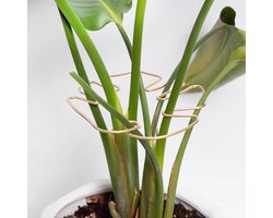 5-delige set – Plantensteunen – plantensteun - Steunen voor klimplanten – Metalen staven met ringontwerp – Steun voor kamerplanten – Ondersteuning voor Monstera en rankende planten – Goud