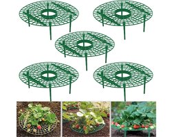 5 stuks - Aardbei enbakbeugel - Fruitgroene plantsplitsing - Antirot en onderdak - Steunframe voor tuinieren - aardbei plantenrek - 30 * 30 * 9 cm - Groen