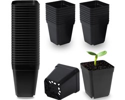 50pcs 5.5cm Zwarte Plastic Vierkante Potten - Voor Zaailingen - Bloempotten voor Succulenten - Stekken - Transplanten