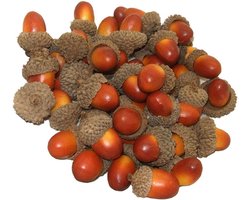 50x Realistische Kunst Eikels Dekoratie Bruin voor Herfst, Kerst en Tafeldecoratie