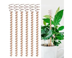 6-delige set bestaande uit een 30 cm hoge elektrische plantenstandaard met houten paal, een koperen spoelantenne voor het kweken van groenten en andere tuinaccessoires.