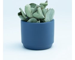 6 kleine keramieken bloempotjes - MARINEBLAUW  - D7/H6 cm - Ideaal in eigen huis of om te geven als bedankje.