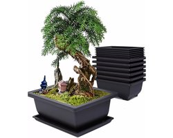 6 stuks Bonsai kweekset, potten planten met dienblad, herbruikbare bonsaischaal met trays, kunststof bonsai-potten, potpot, voor tuin, woonkamer, vensterbanken, terrassen, 10 x 10 cm
