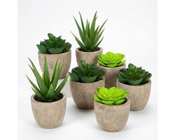 6 stuks Kunstplanten - Kamerplanten - Nep planten - Vetplanten - Cadeautip