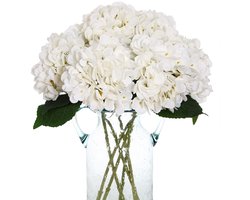 6 Stuks Nep Witte Hortensia's Kunstbloemen Kunstmatige Zijden Hortensia Bloem Met Stelen Boeket Arrangement Voor Thuis Tafelstukken Bruiloft Babyborrel Verjaardagsfeest Decoratie - Wit