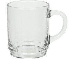 6 theeglazen met oor 25cl