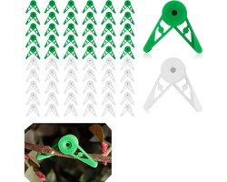60 stuks verstelbare plantenklemmen, takkenbuiger, stengeltrainingklemmen, groeigespen voor planten 3,2 cm (groen en wit)
