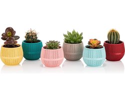 6st Bloempotjes cactuspotjes in verschillende kleuren 0.13L gehaakt motief