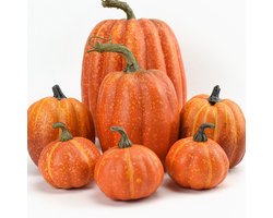 7-delig Halloween pompoen decoratieset - Kunstmatige pompoen decoratie - Halloween en herfstoogst decoratie - Landelijke boerderij stijl - Schuim pompoenen - Thanksgiving feesttafel en herfstdecoratie (Oranje)