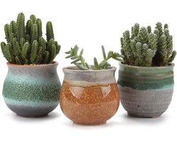 75CM Vetplant Bloempot Set van 3 - Gekleurde Keramiek Succulente Plantenpot - Afvoergat Binnen Klein Cactus Pot - Decoratieve Geschenk voor Sappige Aloë Kruid - Kamerplant (Geen Planten) Bloempot