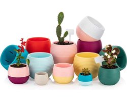 7st bloempotten + drainage 0.55L voor cactus vetplantjes en kleine planten