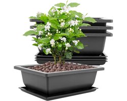 8 Pieces Large 23 x 17 x 8 cm Bonsai Bowl with Trays Plastic Bonsai Pots Suitable for Gardens Courtyards Offices Living Room Balconies (Black)