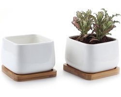 95CM Succulente Plantenpot Set van 2 Vierkant Keramiek Wit met Bamboe Onderzetter. Geschikt voor Sappige Aloë, Klein Cactus Pot met Afvoergat voor Binnen. Ideaal voor Kruid Decoratie. Perfect als Geschenk.