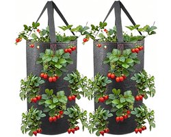 Aardbeienpot Ondersteboven - Plantenzak Vilt - Balkon Tuinieren - 11 Plantgaten - 11 Liter - Grijs