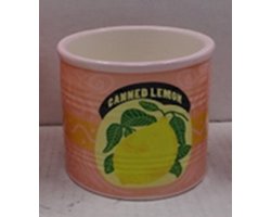 Aardewerk bloempot citroen 9,7x9,7x9,6cm