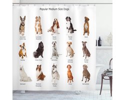 ABAKUHAUS douchegordijn Sc_14794_de – 175x200 cm – multicolor/waterafstotend