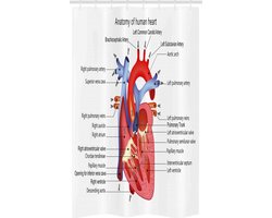 ABAKUHAUS Douchgordijn 120x180 cm – Multicolor, waterafstotend