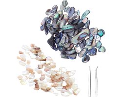 Abalone-steen met 40 g en klein schelpgrind - Decoratieve accessoires - Pincetten - Doe-het-zelf materialen - Ambachtelijke decoraties .