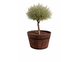Acacia Kuip, bruin - D62 x H42 cm – Houten Plantenbak / Bloembak / of ter Decoratie