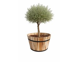 Acacia Kuip, naturel – D62 x H42 cm – Houten Plantenbak / Bloembak / of ter Decoratie