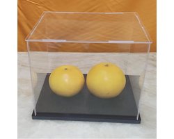 Acryl Display Box Stofdichte Showcase voor Action Figuren en Speelgoedopslag met Verdikte Basis (50 x 20 x 25 cm)