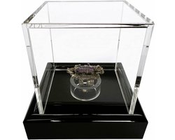 Acryl Vitrine 6x6x6cm / Showcase/display case/kijkkast met zwart fluweel bijvoorbeeld voor Mineralen, fossielen, stenen, modellen, figuren, klokken, sieraden, munten, medailles